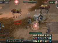 Me and Reusa killing swasps :D